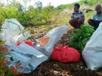 pencuri-sapi_20161006_124655.jpg