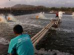 eFishery Berhenti Beroperasi, Ribuan Petani Ikan Terancam Gagal Panen