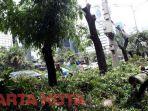 penebangan-pohon-dki-jakarta.jpg