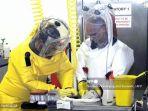 penelitian-tentang-penyakit-ebola-yang-berkembang-pada-kelelawar.jpg