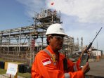 penemuan-cadangan-migas-baru-di-blok-pangkah_20160930_131122.jpg