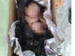 penemuan-jasad-bayi-di-tempat-sampah.jpg