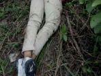 penemuan-jasad-wanita-di-pinggir-jalan.jpg