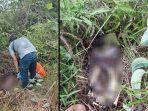 penemuan-kerangka-di-jalan-abadi-kabupaten-sekadau.jpg