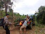 penemuan-mayat-di-gunung-halimun-salak.jpg
