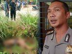 penemuan-mayat-di-tapung-syamsul-bahri-tewas-akibat-kekerasan.jpg