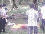 penemuan-mayat-perempuian-di-riau.jpg