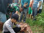 penemuan-mayat-tergantung-di-pohon_20180416_093754.jpg