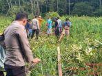 penemuan-mayat-wanita-terbungkus-karung-di-jambi.jpg