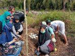 penemuan-puluhan-telur-buaya-di-agam.jpg
