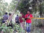 penemuan-tengkorak-manusia-di-kawasan-hutan-tnbb-gemparkan-warga_20170317_151320.jpg