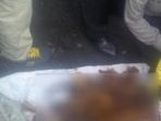 penemuan-tulang-belulang-di-kebumen_20161225_145326.jpg