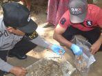 penemuan-tulang-belulang-di-pekarangan-rumah-warga.jpg