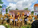 penen-jagung_20180418_220930.jpg