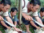 pengambilan-sampel-sapi-yang-mati-mendadak-di-bangli.jpg