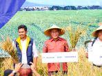 pengembangan-lahan-tidur-ok.jpg