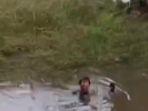 Viral Penggerebekan Judi Sabung Ayam di Gowa, Pelaku Kabur sampai Loncat ke Danau