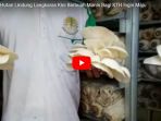 penghijauan-hutan-lindung-langkaras-kini-berbuah-manis-bagi-kth-ingin-maju_20171123_123627.jpg