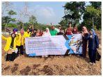 Fakultas Farmasi UI Budidayakan Tanaman Hanjeli untuk Penanganan Stunting Warga Suku Baduy