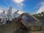 penguburan-ikan-paus-yang-terdampar_20171115_125455.jpg