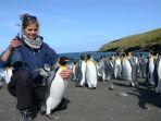 penguin-di-pulau-matiu-somes.jpg