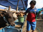 penjual-hewan-kurban_20150915_181806.jpg