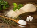 pentingnya-manfaat-sweetener-kenali-5-jenis-pemanis-yang-aman-untuk-diabetesi.jpg