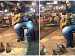 penyanyi-jalanan-ini-diabaikan-orang-sekitar-tapi-ada-4-anak-kucing-yang-duduk-dan-mendengarkan.jpg