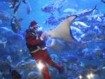 penyelam-berkostum-santa-klaus-feeding-show-seaworld_20161224_053625.jpg