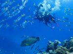 penyelam-di-the-great-barrier-reef.jpg