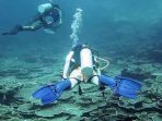 penyelam-di-wakatobi_20170513_050200.jpg