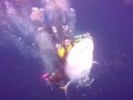 penyelam-tunggangi-hiu-paus_20180814_185638.jpg