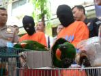 penyelundupan-burung-dilindungi_20160422_145142.jpg