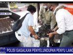 penyelundupan-penyu-langka.jpg