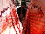 penyembelihan-sapi-kurban-di-rph-terapkan-protokol-kesehatan_20200731_224957.jpg