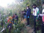 penyidik-polres-sumbawa-saat-melakukan-olah-tkp-di-ladang-jagung-yang-menjadi.jpg