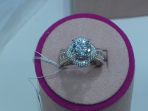 peonia-diamond_20170329_153451.jpg