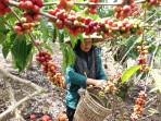 Bangun Koperasi Modern, LPDB Maksimalkan Program Inkubator