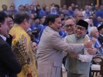 perayaan-hut-ke-25-partai-amanat-nasional_20230828_220621.jpg