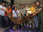 perdagangan-kulit-harimau-sumatera-digagalkan_20160930_132137.jpg