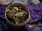 perdagangan-kulit-harimau-sumatera_20160930_132443.jpg