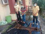 perdagangan-organ-dan-kulit-harimau-di-bengkulu.jpg