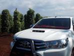 perkebunan-merica-di-bantilang_20160808_081936.jpg