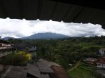 perkebunan-ptpn-viii-di-mega-mendung_20210103_201241.jpg