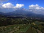 perkebunan-warga-di-lihat-dari-ketinggian_20180604_181753.jpg