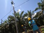 perluasan-jaringan-listrik-pln-di-pedalaman-desa-kalimantan_20180501_013758.jpg
