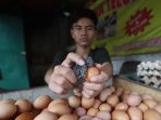 permintaan-telur-ayam-meningkat_20230413_154206.jpg