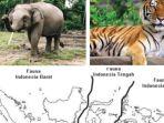 persebaran-flora-dan-fauna-di-indonesia-1.jpg