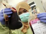 persediaan-darah-di-pmi-kota-bandung_20150616_123651.jpg