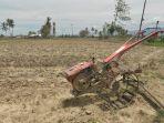 5 Bulan Pertanian Desa Karawana Lumpuh, Padahal 90 Persen Warga Bekerja Sebagai Petani